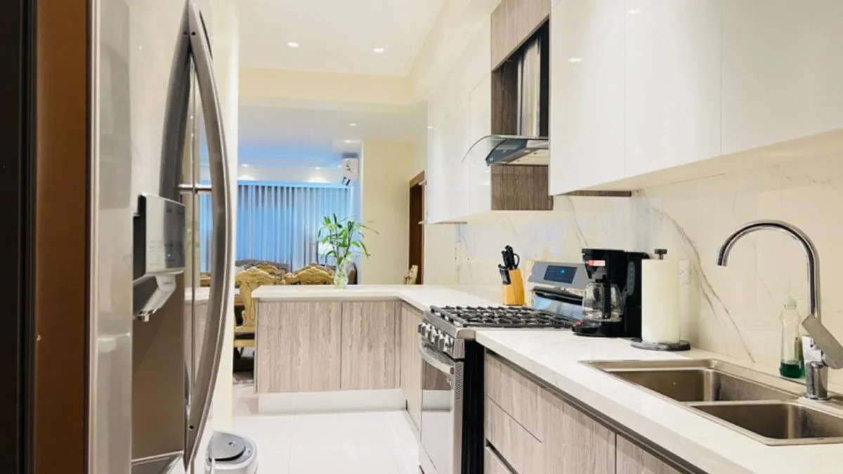 Furnished Apartment in En Enasc Naco, photo 3
