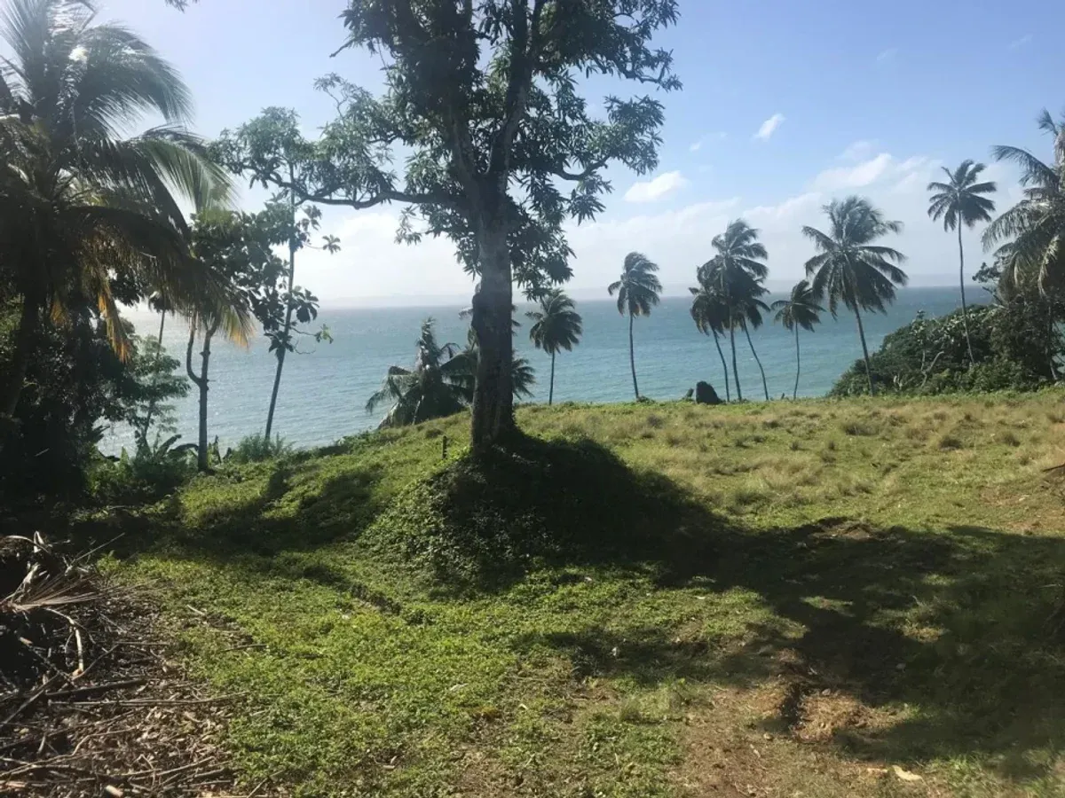 Grundstück in Santa Bárbara, Samaná, Foto 2