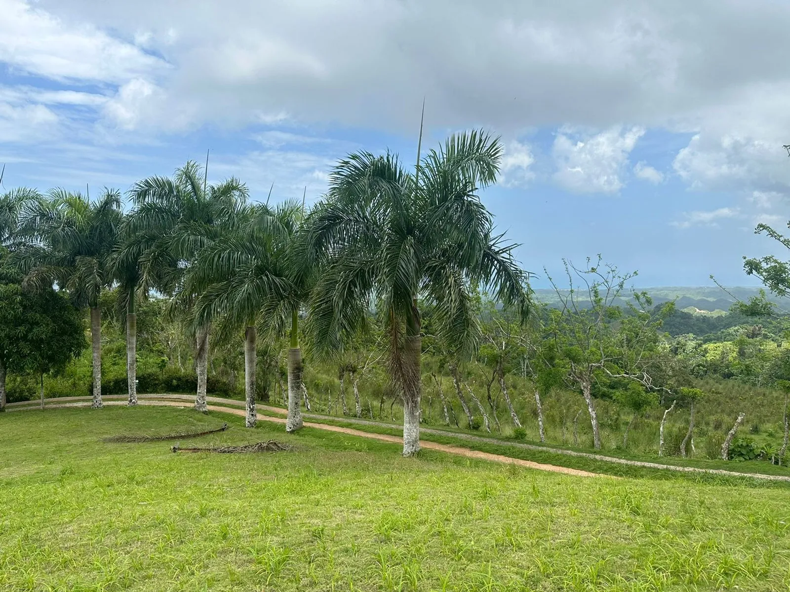 Terrain à Los Puentes, Las Terrenas Samana, photo 5