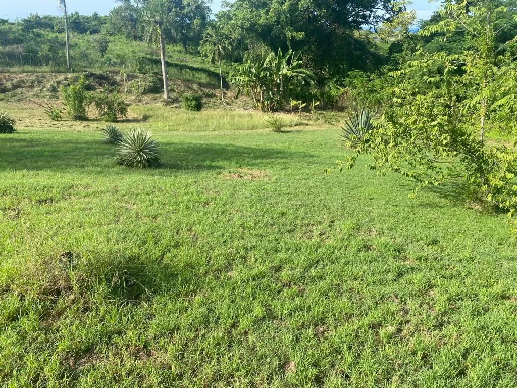 MARAVILLOSO TERRENO EN LA MULATA, foto principal