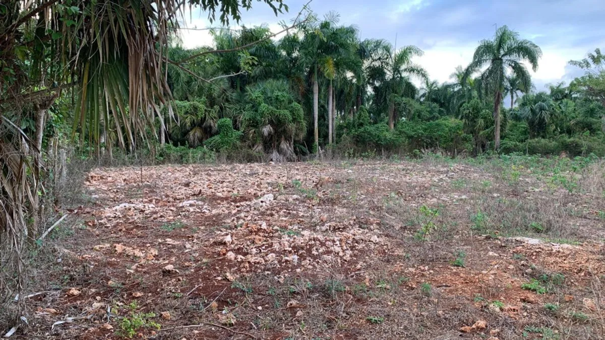 Terreno en Cabrera, El Jamo, 1122 m², foto principal