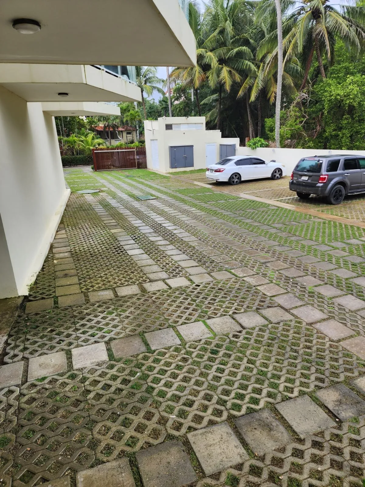 Appartamento moderno di 1 camera a Cabarete – Primo livello con piscina., foto 9
