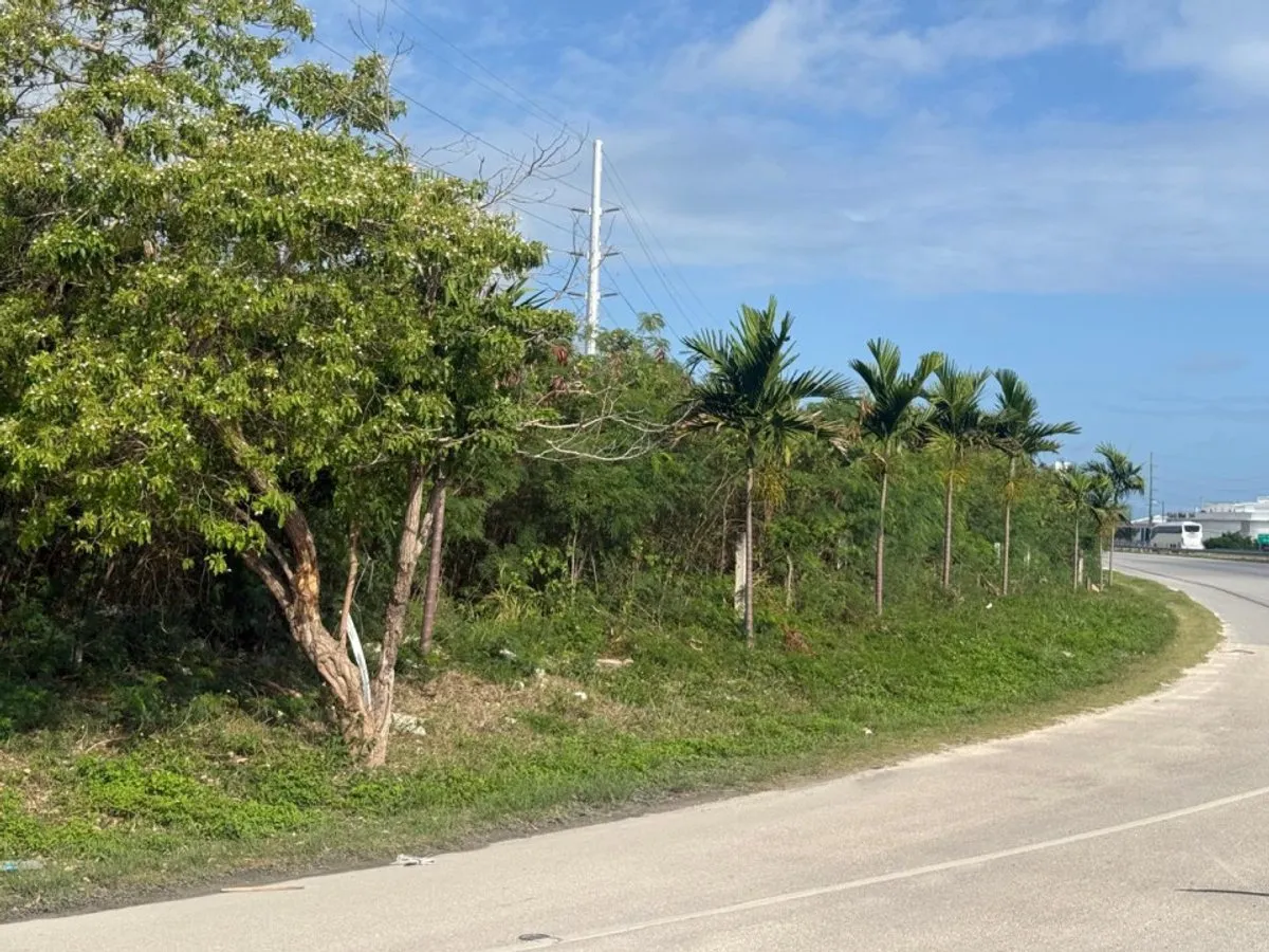 TERRENO STRATEGICO NEL CORRIDOIO IBEROSTAR BÁVARO, foto 7