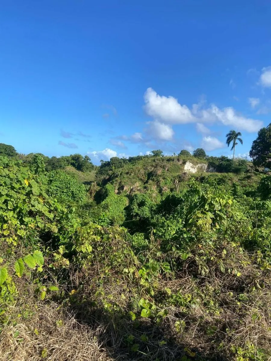 Land for Sale in Río San Juan, Santa Lucía, photo 4