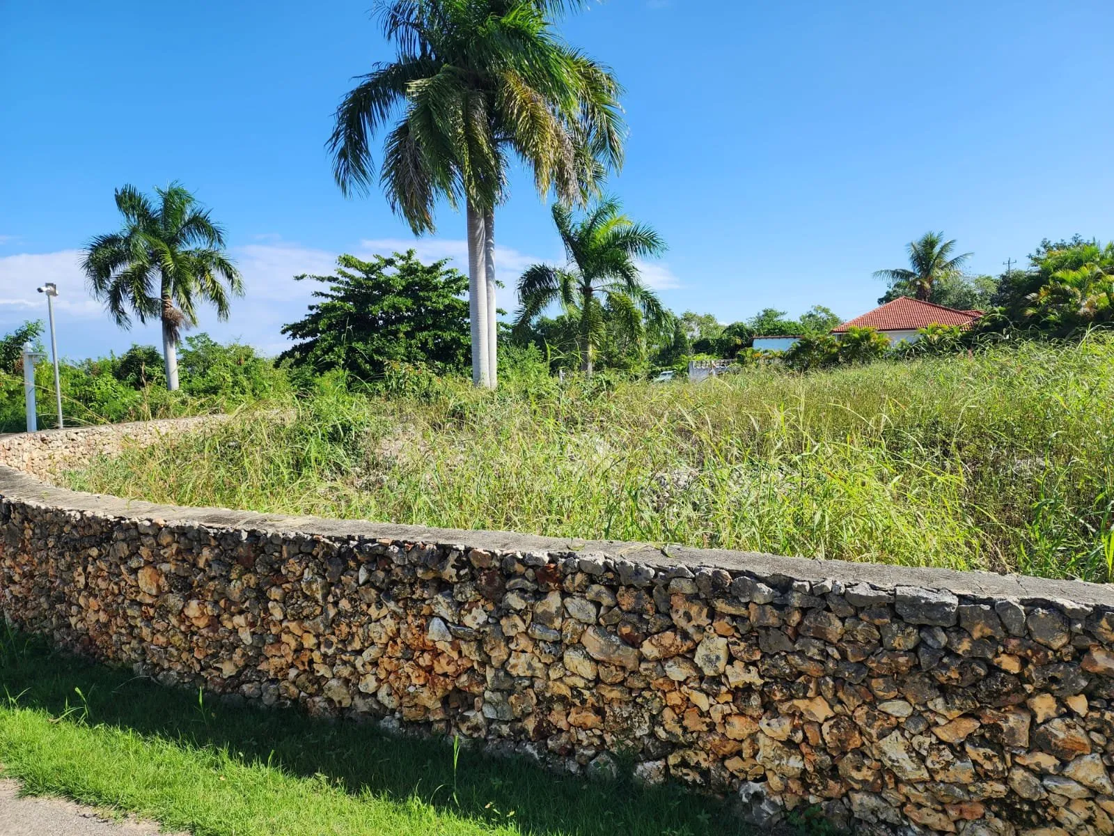 OPPORTUNITÉ DE TERRAIN – À CABARETE, photo 6