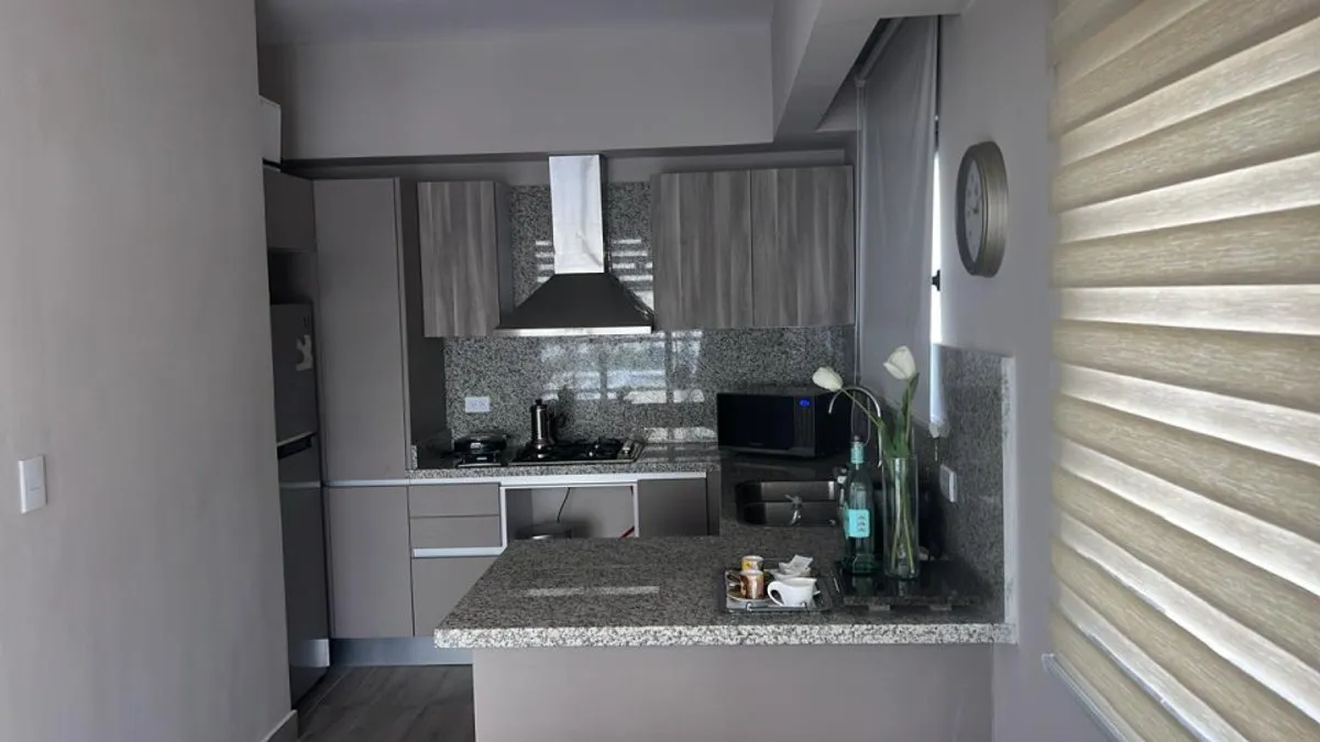 Appartement meublé à Piantini, photo principale