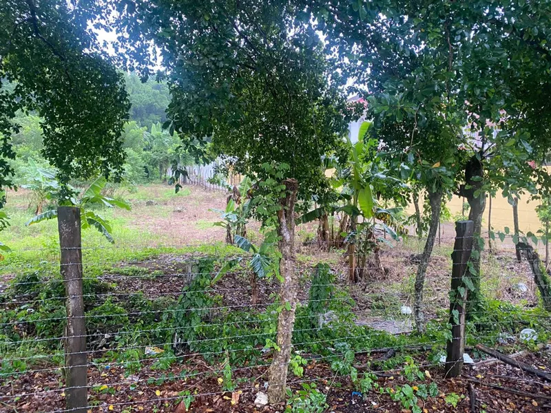 Terrain en Vente à Río San Juan, USD$ 180,000