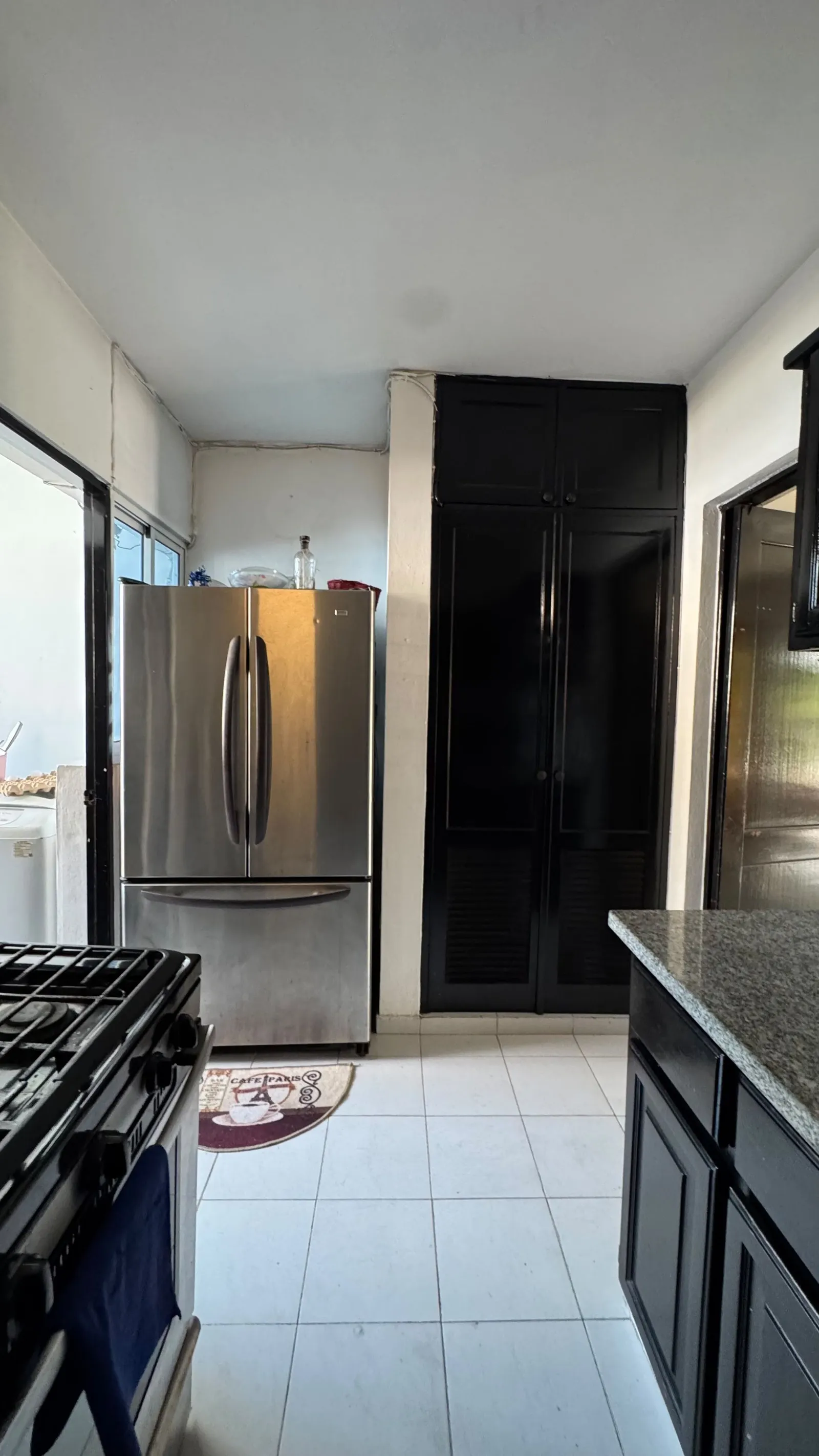 APARTAMENTO EN VENTA 3 DORMITORIOS DISTRITO NACION, foto 10
