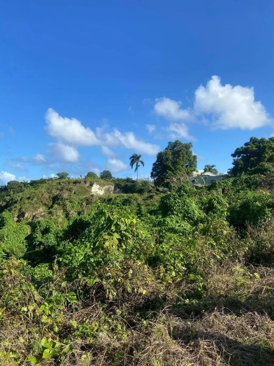 Land for Sale in Río San Juan, Santa Lucía, photo 6