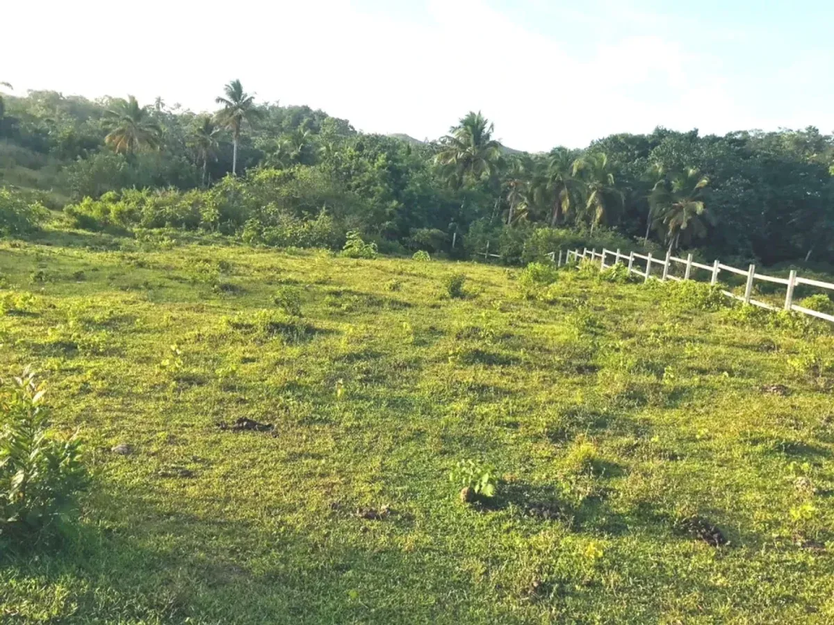 Terrain à Samaná Las Terrenas, Los Puentes, photo 12