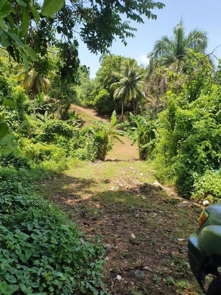 Land in Bella Vista, Samaná, photo 3