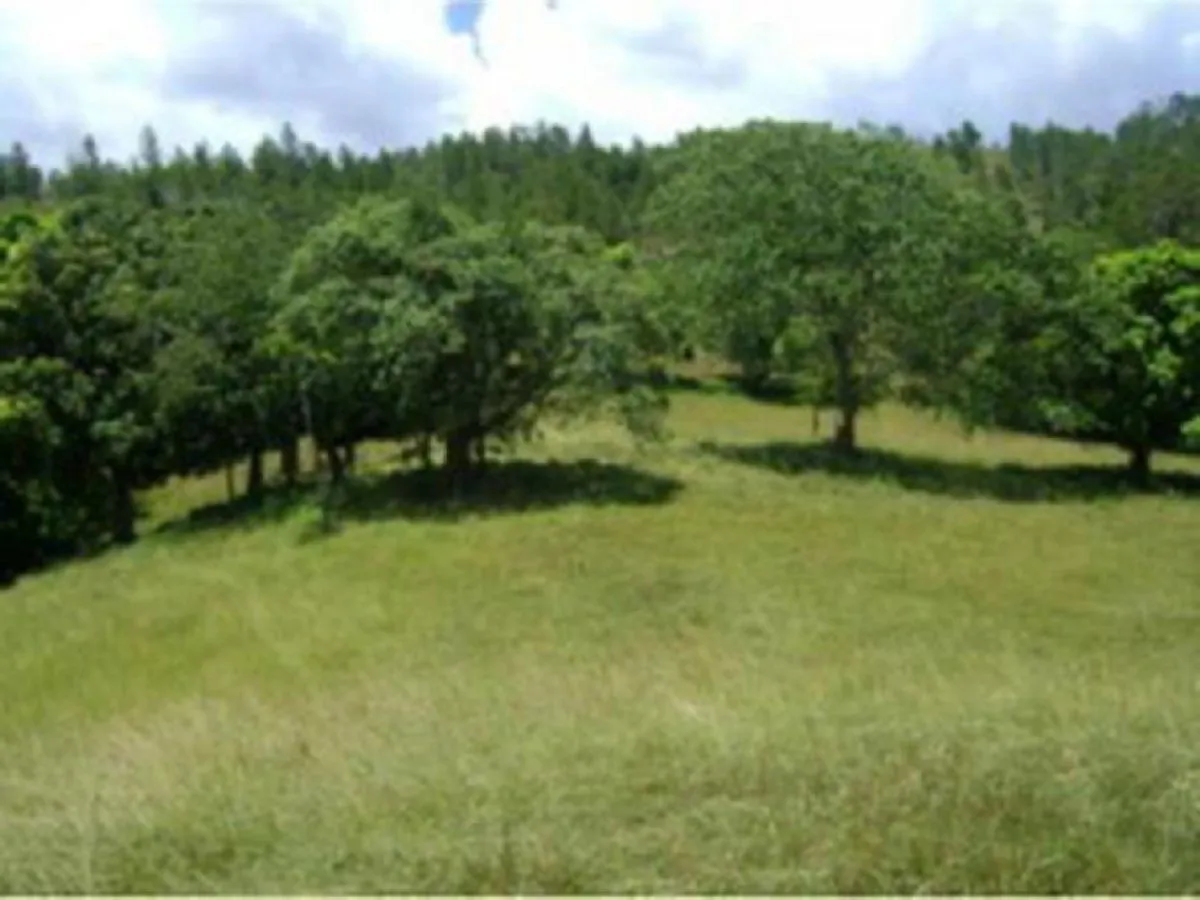 Terreno En Pedregal, San José De Las Matas, foto 4