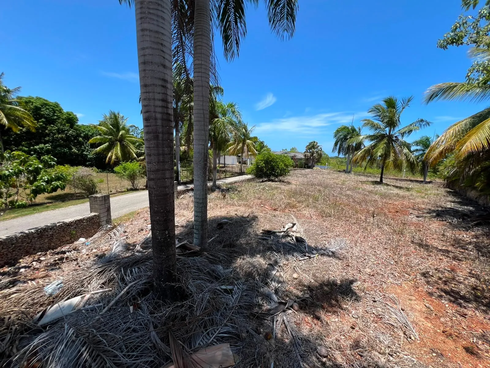 Land for sale Lomas Mironas, photo 6