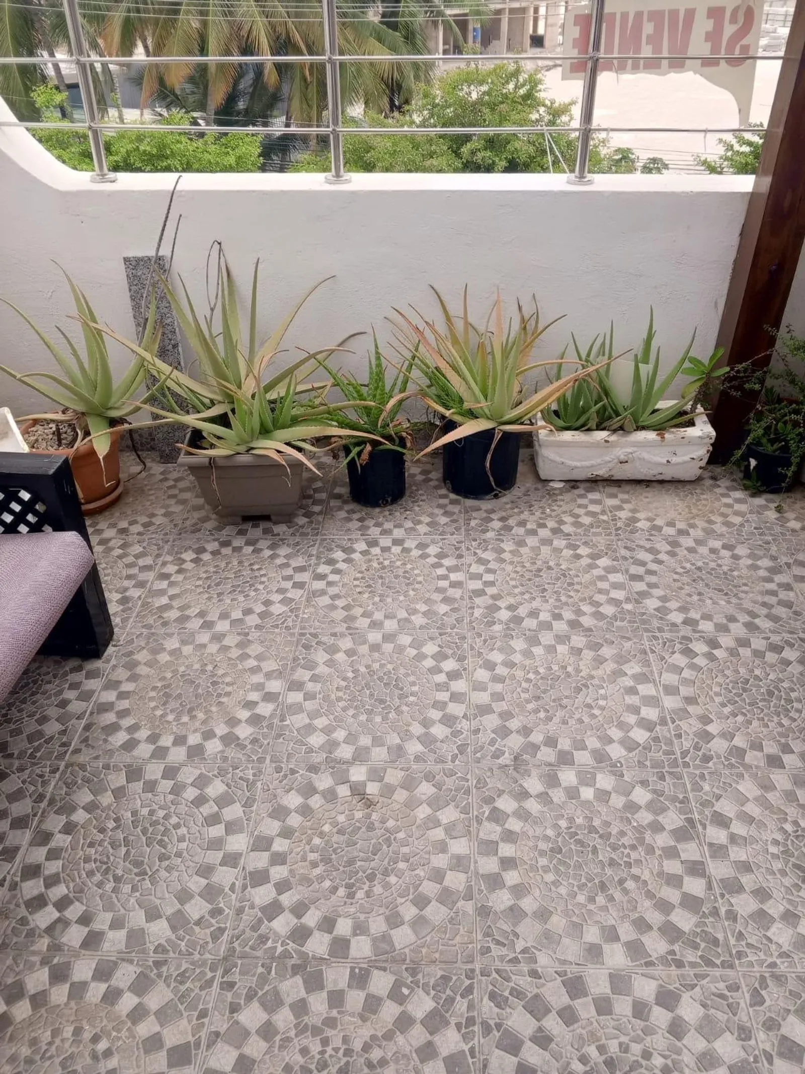 Penthouse en vente à Bávaro, Punta Cana, photo 7