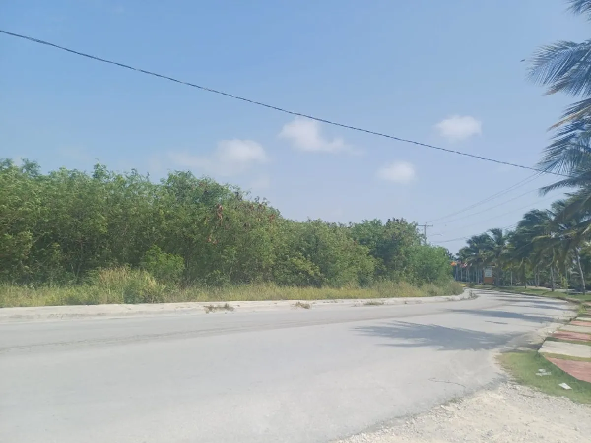 Terrain à Punta Cana, Bávaro, photo 2