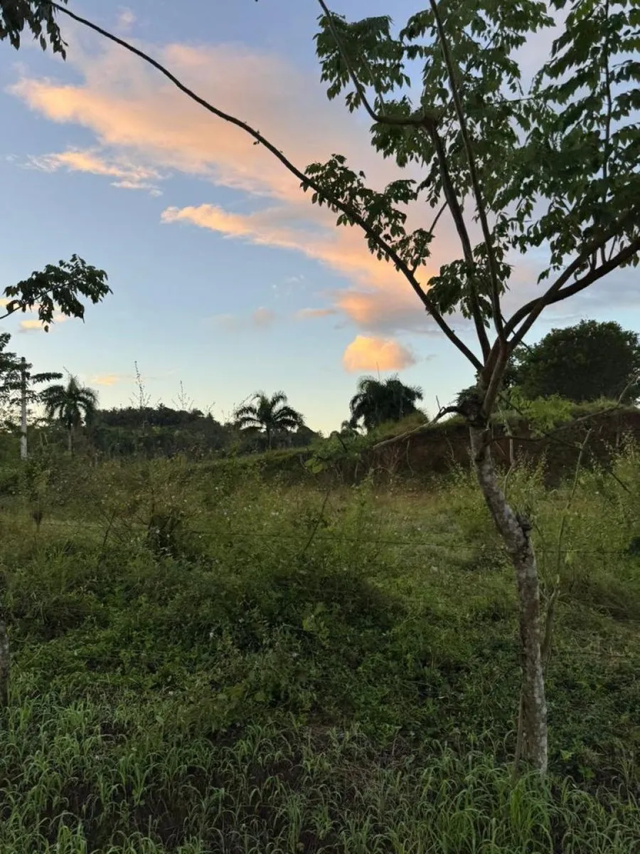 Land for Sale in Río San Juan, 1117 m², main photo
