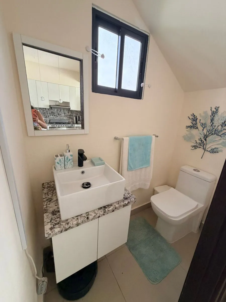 Furnished Villa for Sale in Brisas de Punta Cana, photo 12