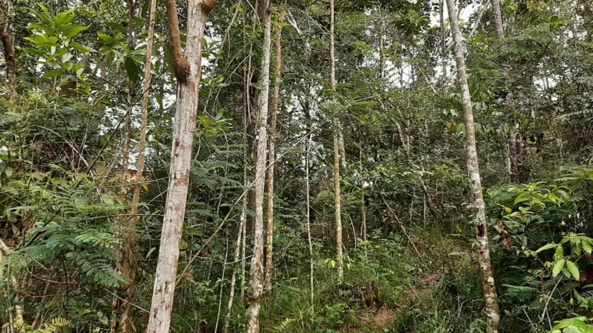 Terreno en Jarabacoa, Buena Vista, 2395 m², foto 4