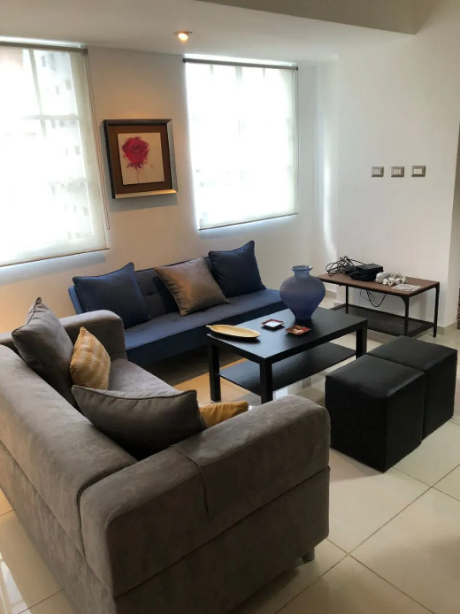 APPARTEMENT EN VENTE 1 CHAMBRE PIANTINI SANTO D, photo 2