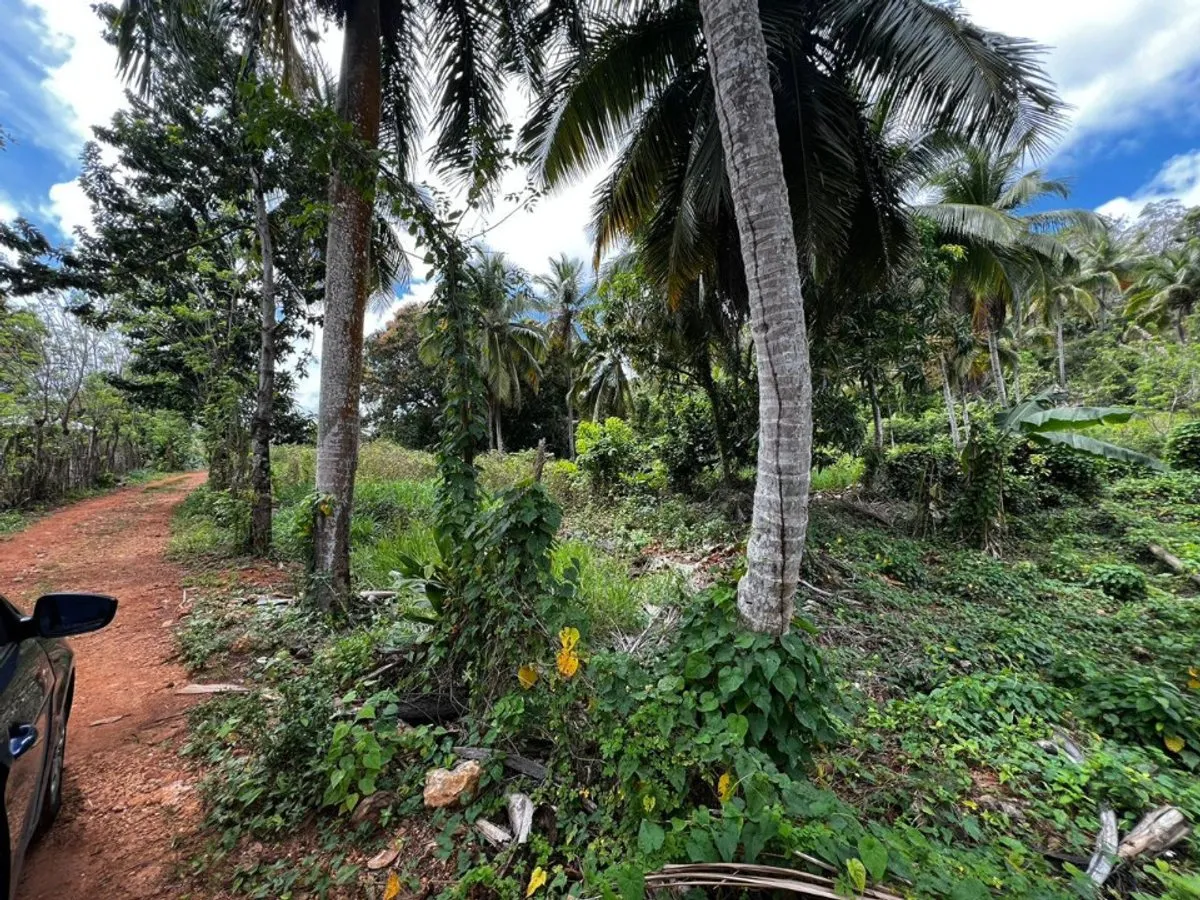Land in Rincón, Samaná, photo 4