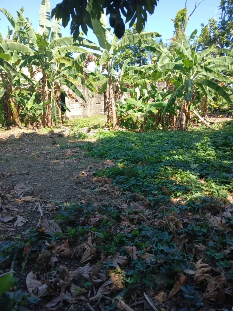 Land for sale in Cabrera, Abreu, photo 2