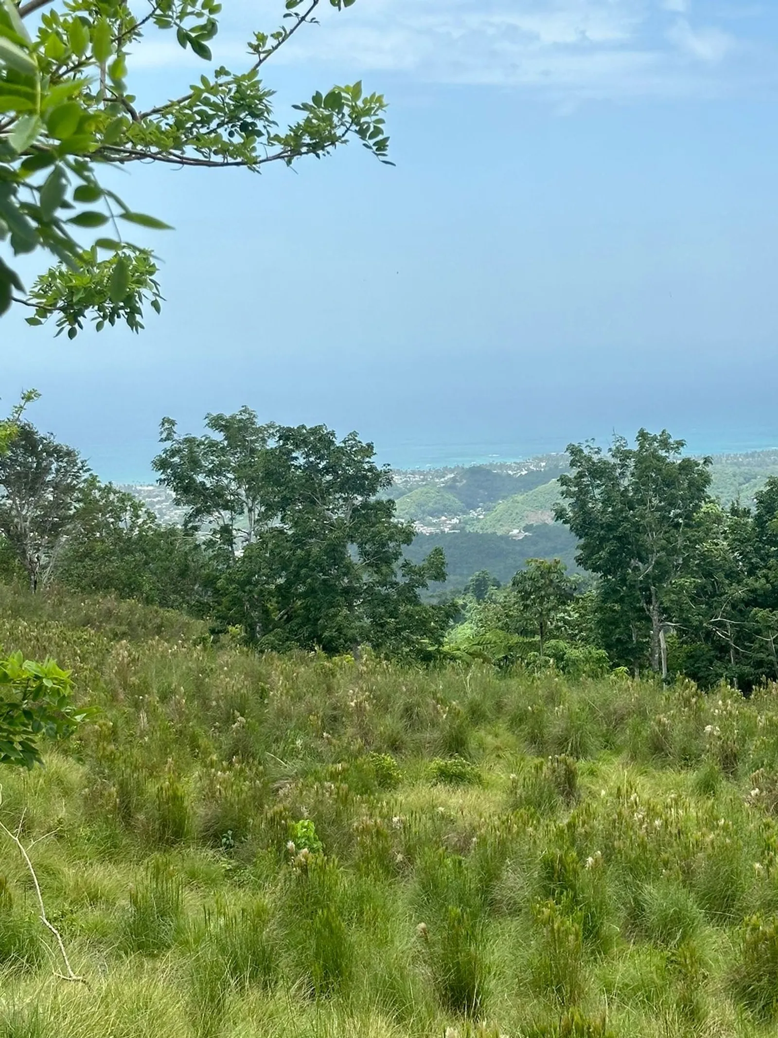 Terrain à Los Puentes, Las Terrenas Samana, photo 10