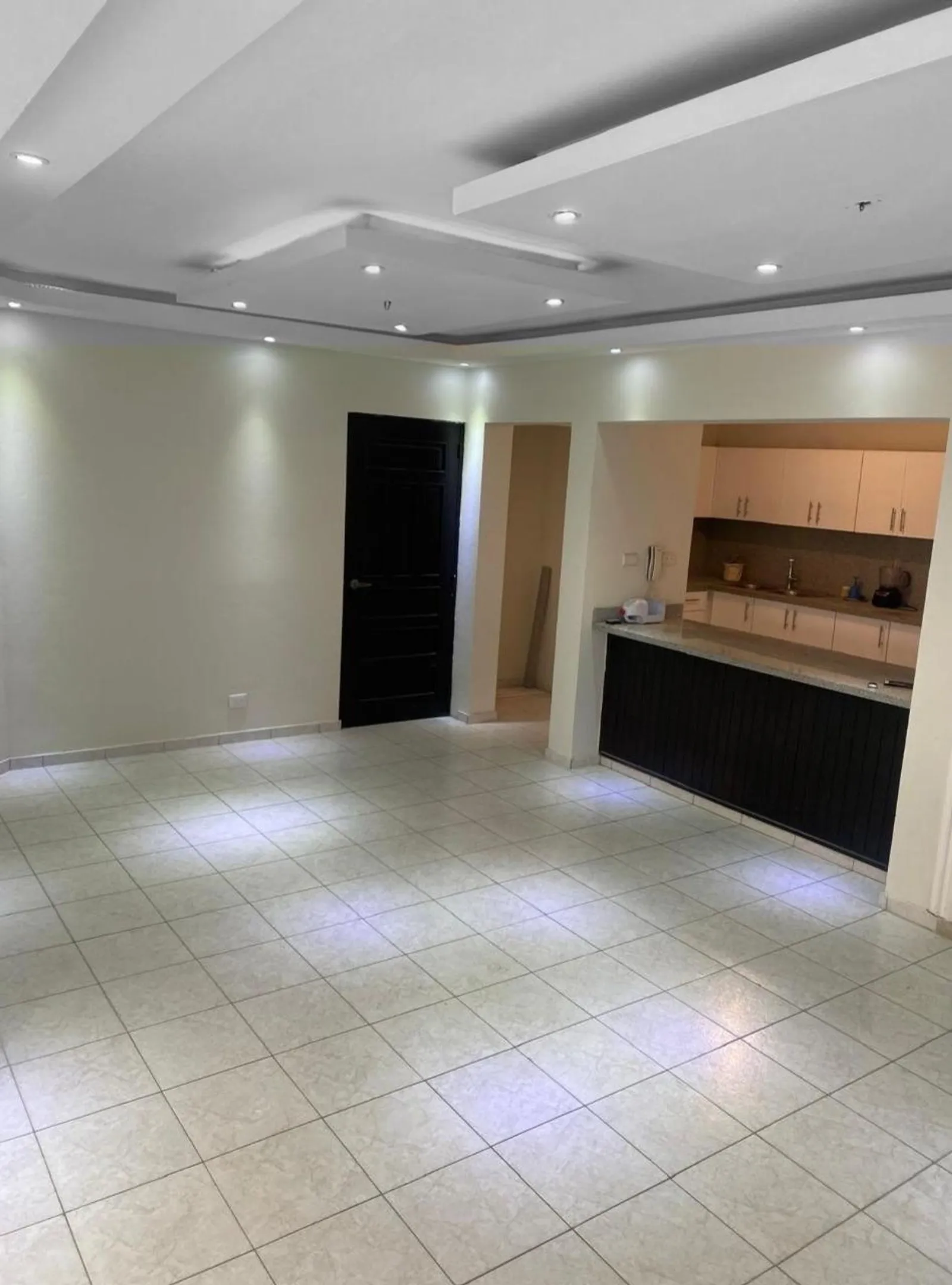 APARTMENT ZUM VERKAUF 3 SCHLAFZIMMER SANTO DOMINGO D, Foto 7