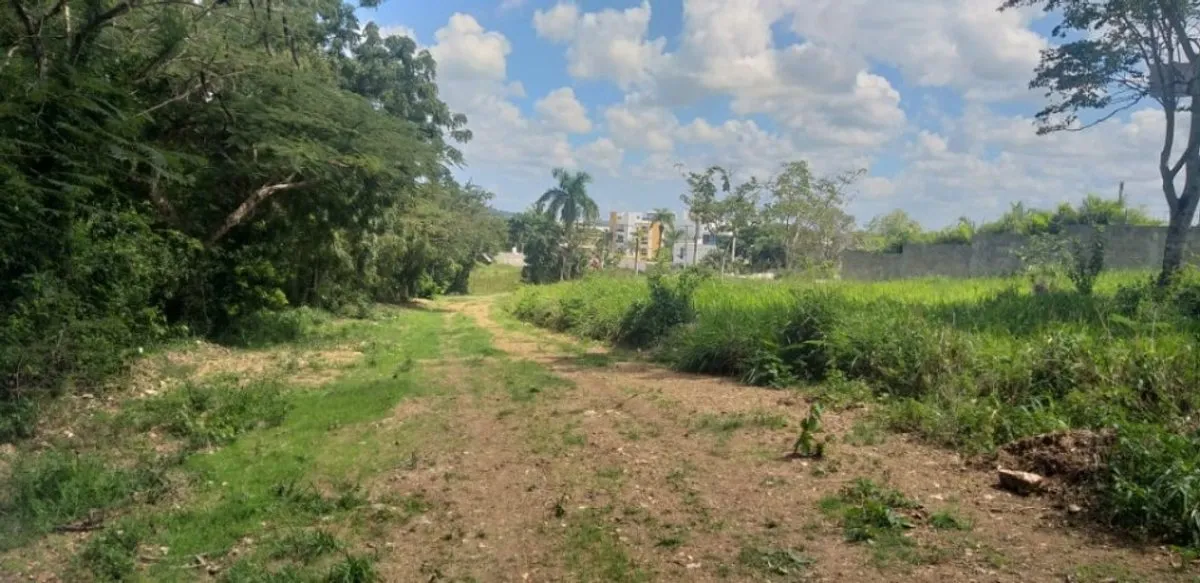 Terreno En Centro De La Ciudad, Higüey, foto 4
