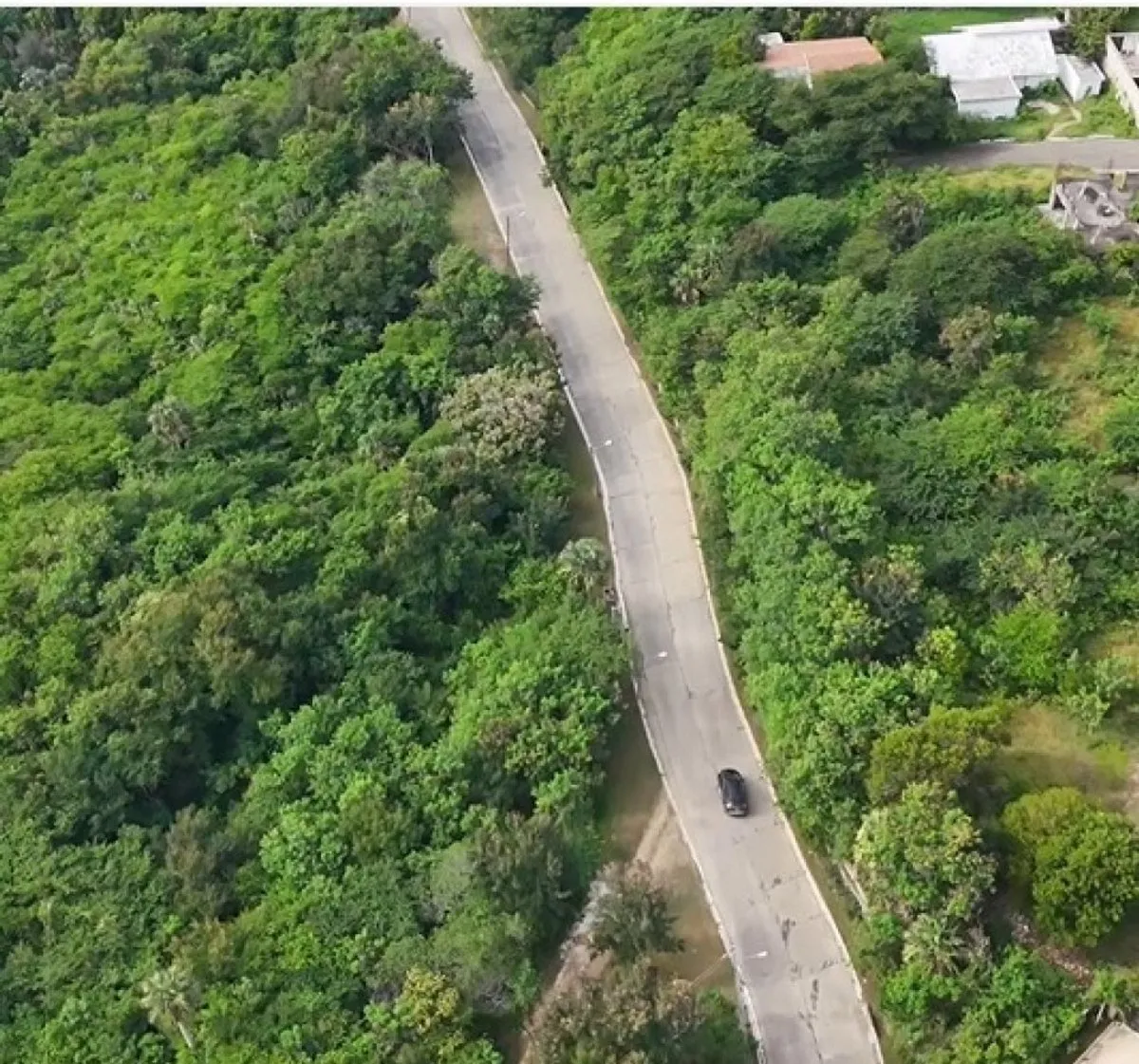 Land for sale in Gurabo al Medio, photo 3