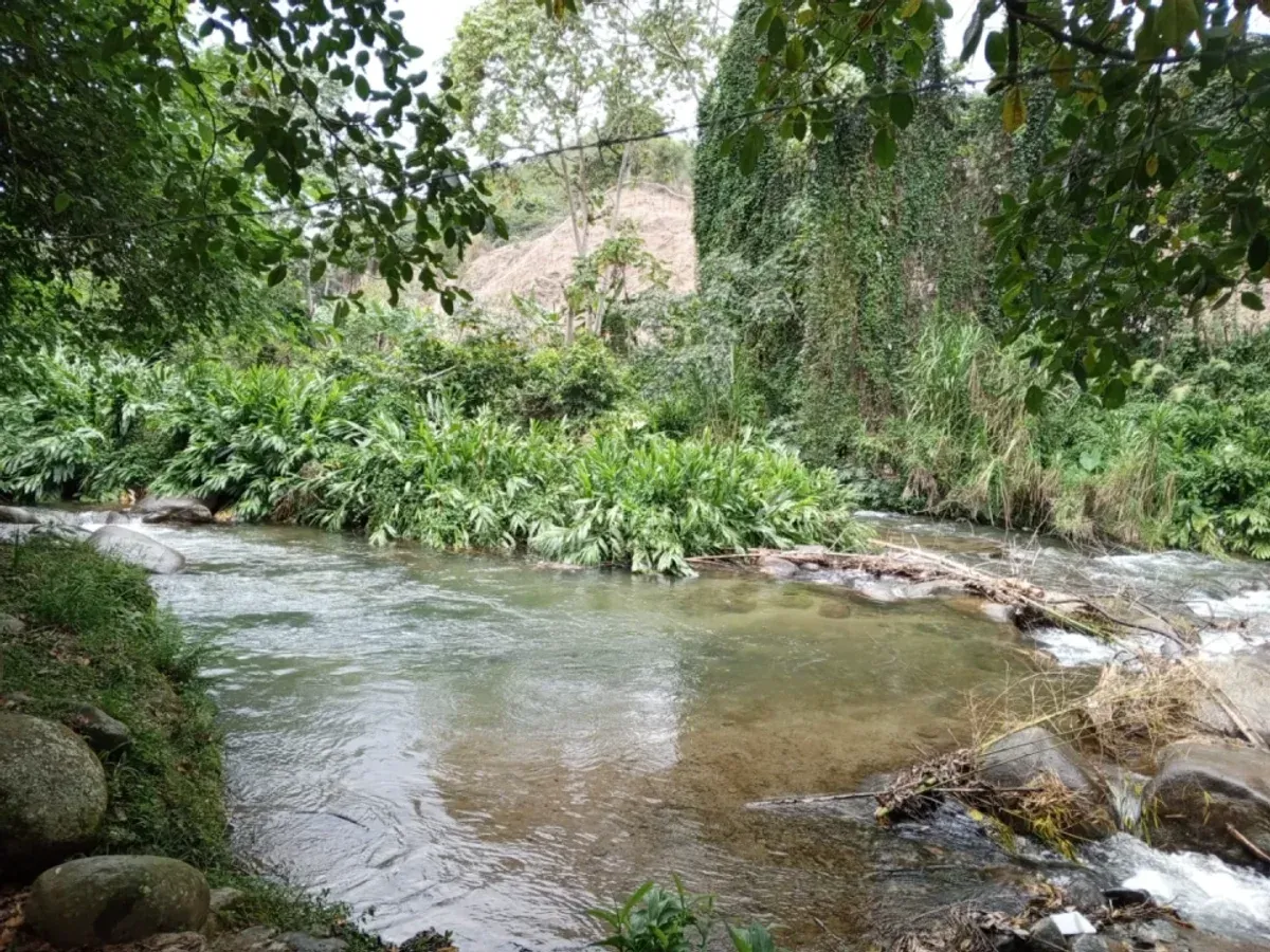 TERRAIN À VENDRE À MANABAO, JARABACOA, photo 2