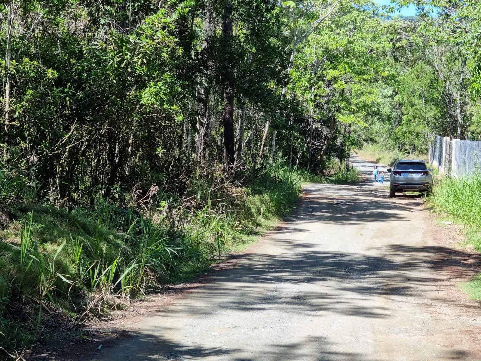 Opportunité Exceptionnelle d'Investissement dans un Terrain à Jarabacoa, photo 14