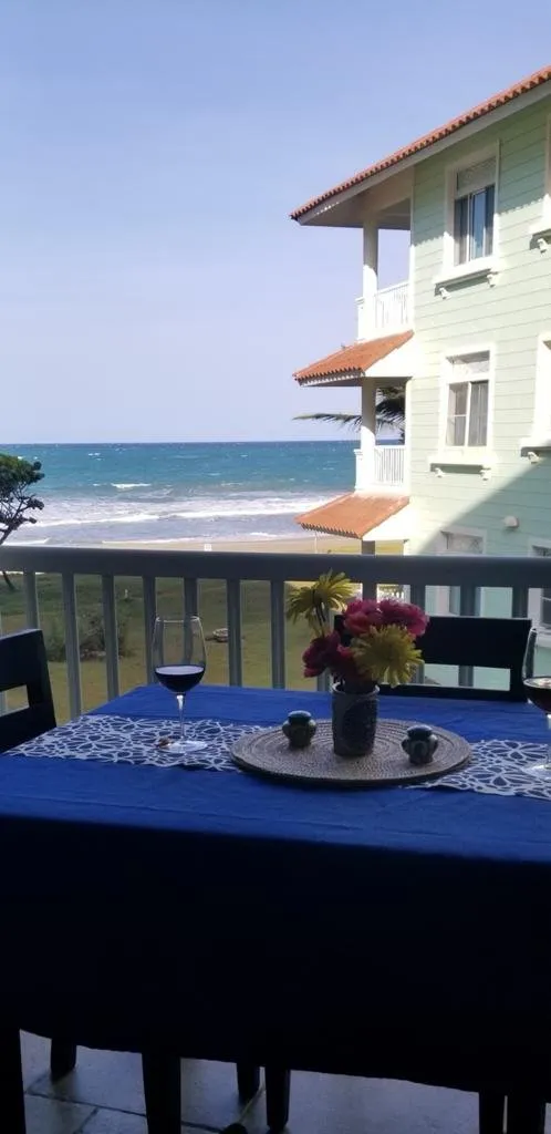 Beautiful Apartment – Residential in Cabarete, photo 6