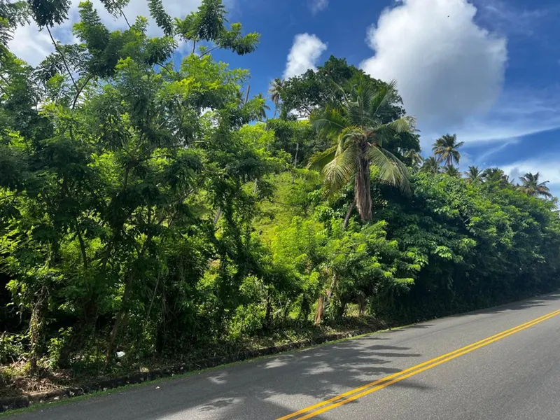 Grundstück in Samaná, Sektor Honduras, USD$ 3,396,000
