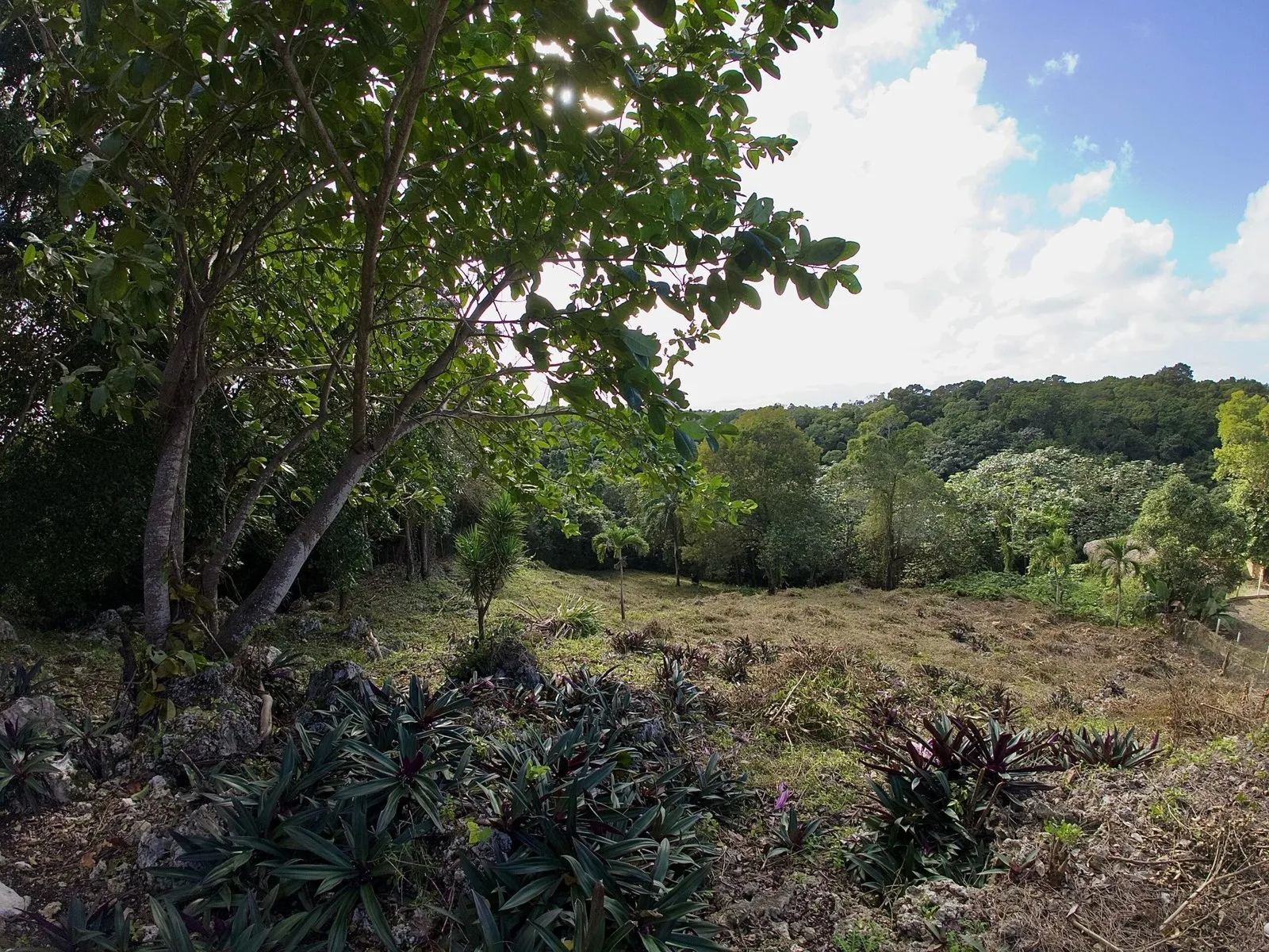 Ocean View Land in La Mulata, Sosúa, photo 6