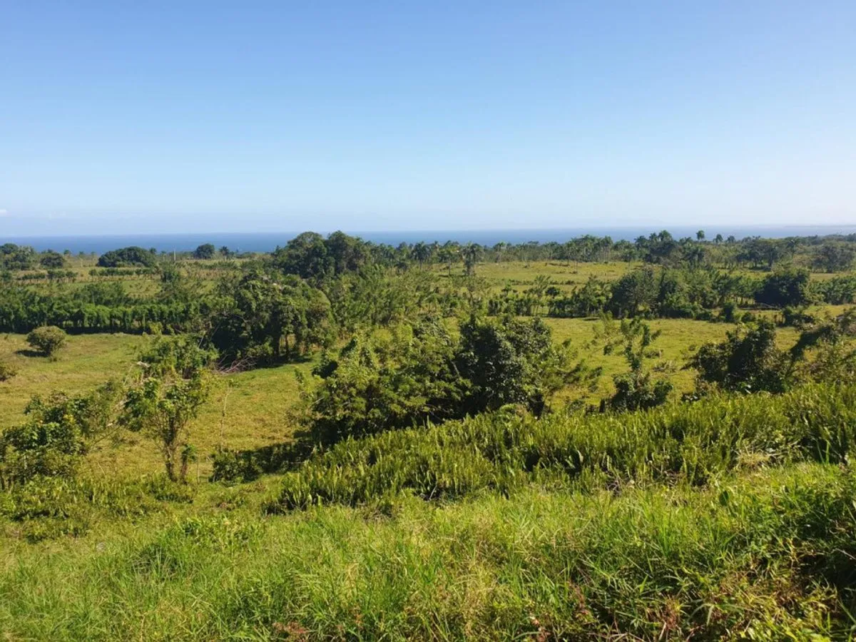 Terreno en Loma de Cabrera, Los Candelones, foto 10