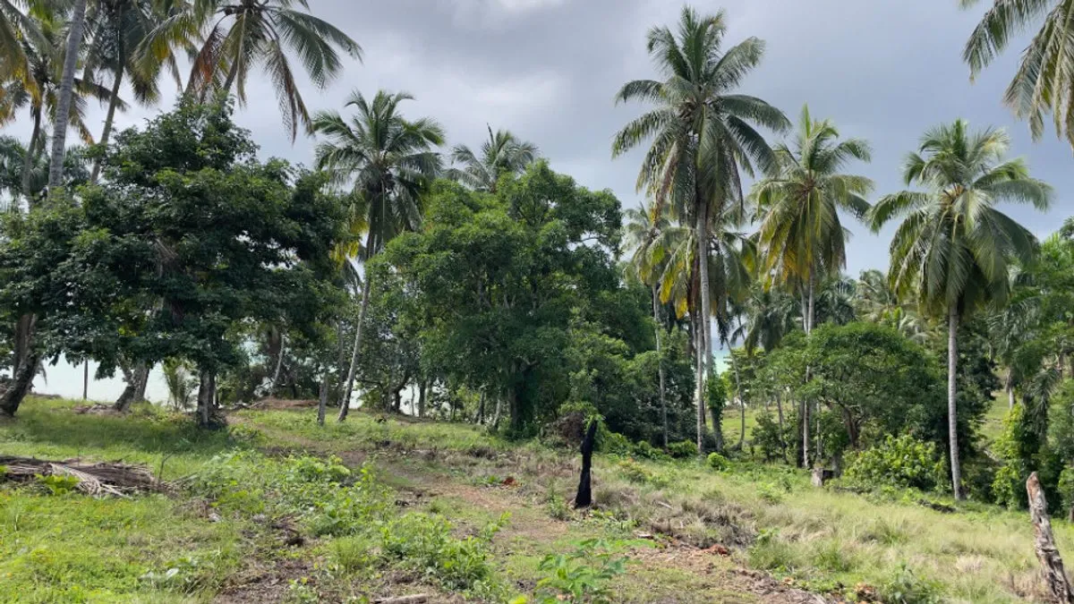 Grundstück in Santa Bárbara, Samaná, Foto 10
