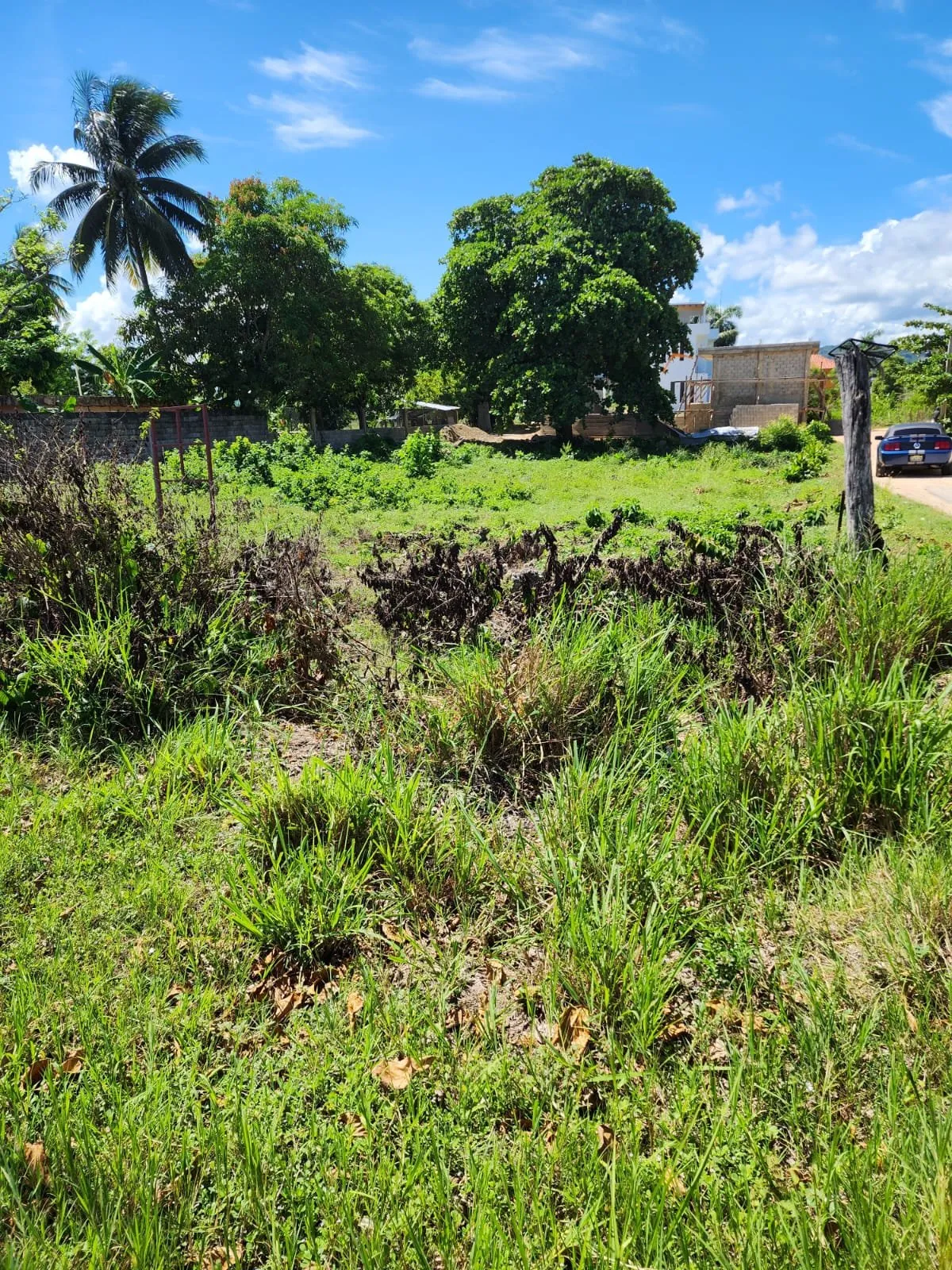 VENTA DE TERRENO CABARETE, foto 6