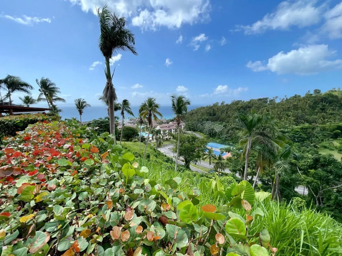 Haus in Doncel, Samaná, Foto 13
