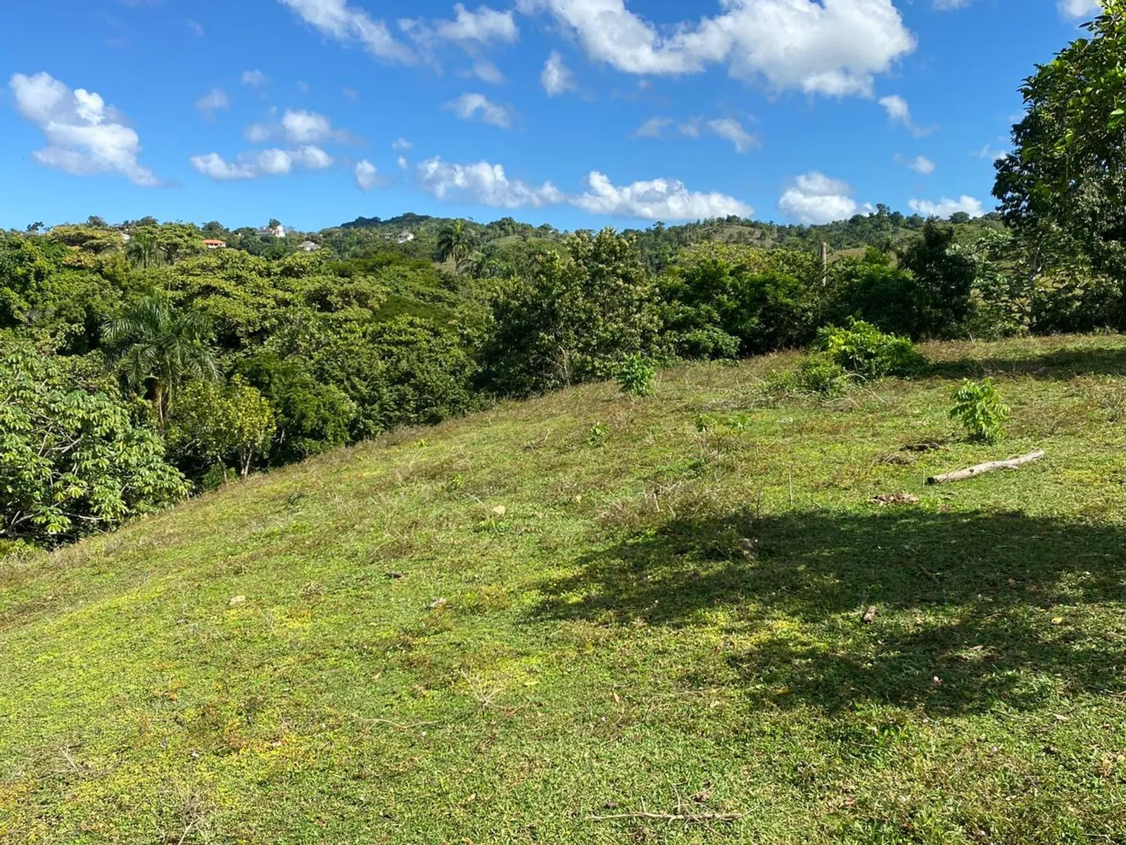 Terrain de 6 287 m² à Urb. Aurora | Rio San Juan, photo 3