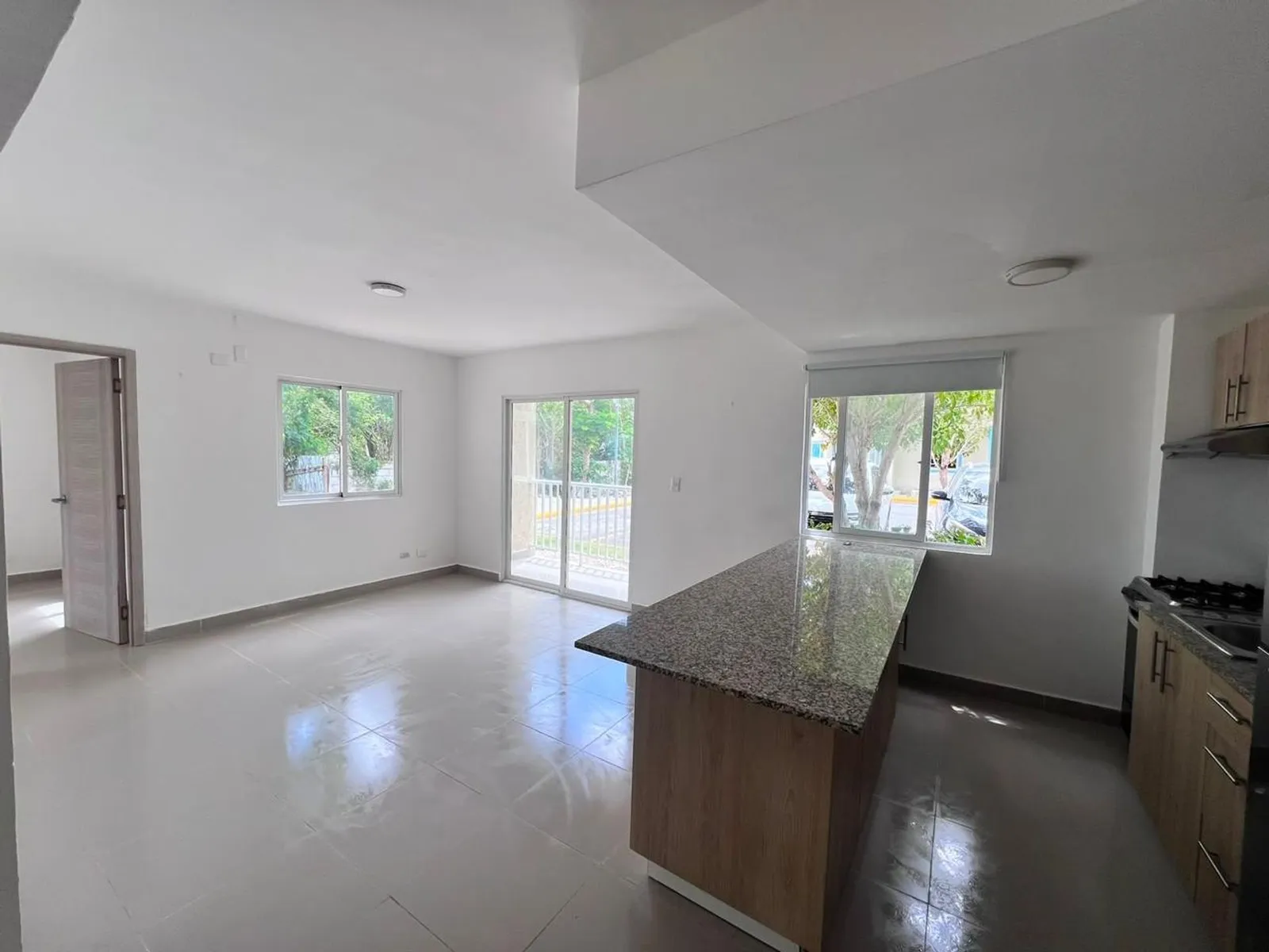 APARTAMENTO EN VENTA 1 DORMITORIO PUNTA CANA LA AL, foto 2