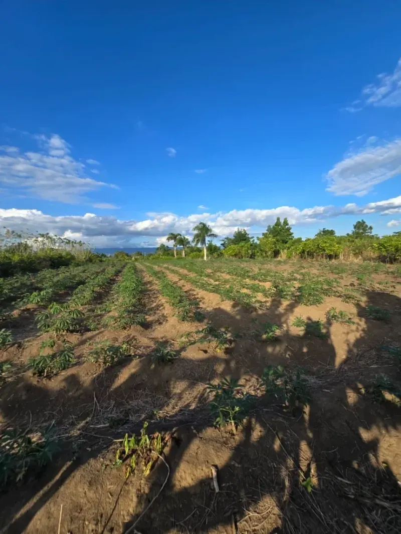Land in Puñal, for sale, USD$ 950,760