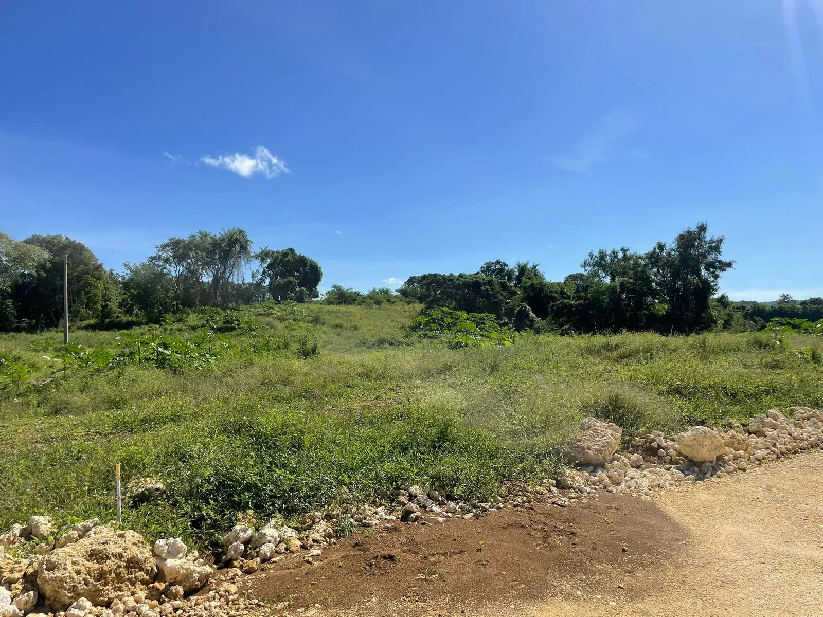 IDEAL LAND IN SOSUA, photo 5