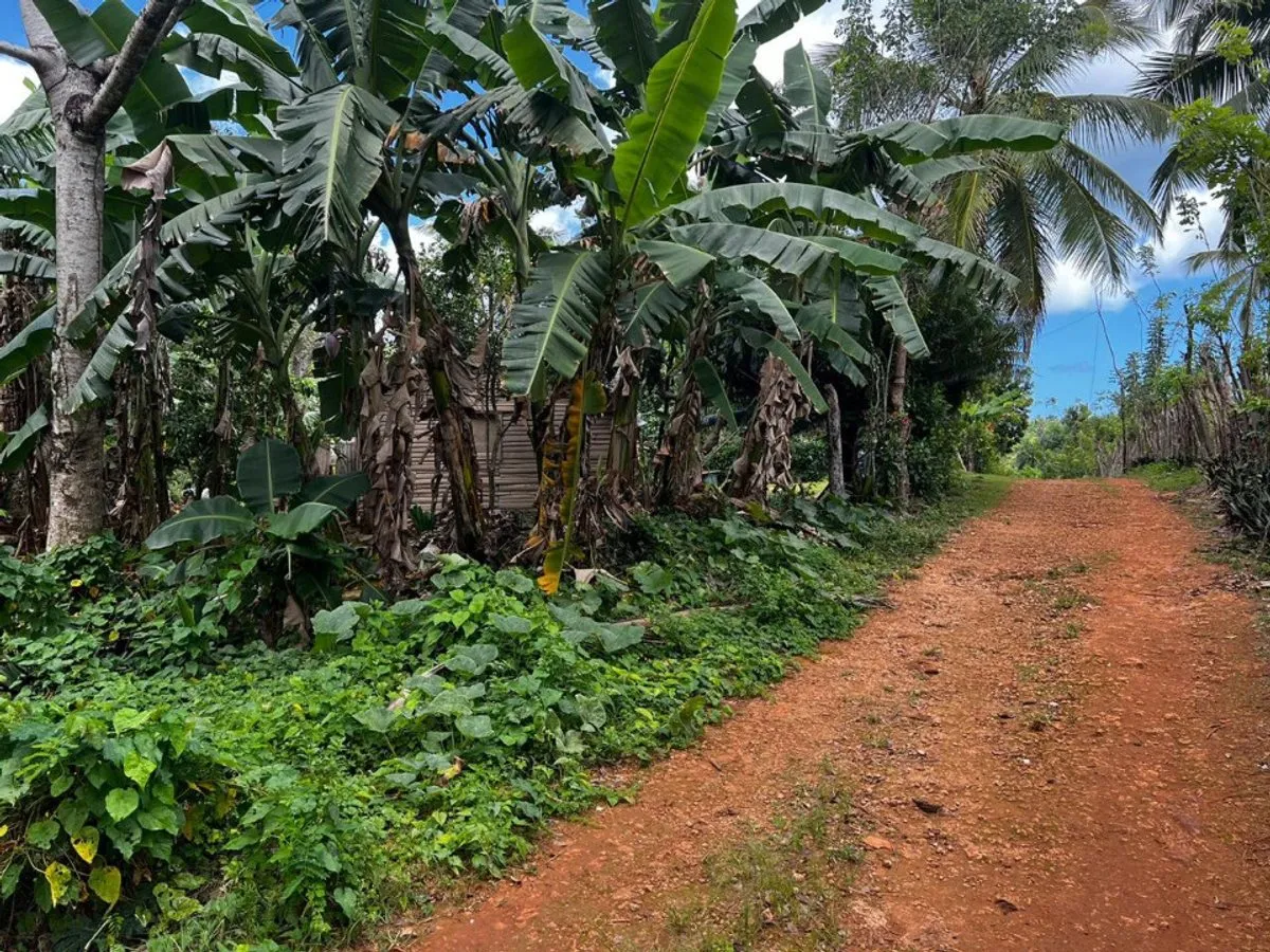 Land in Rincón, Samaná, main photo