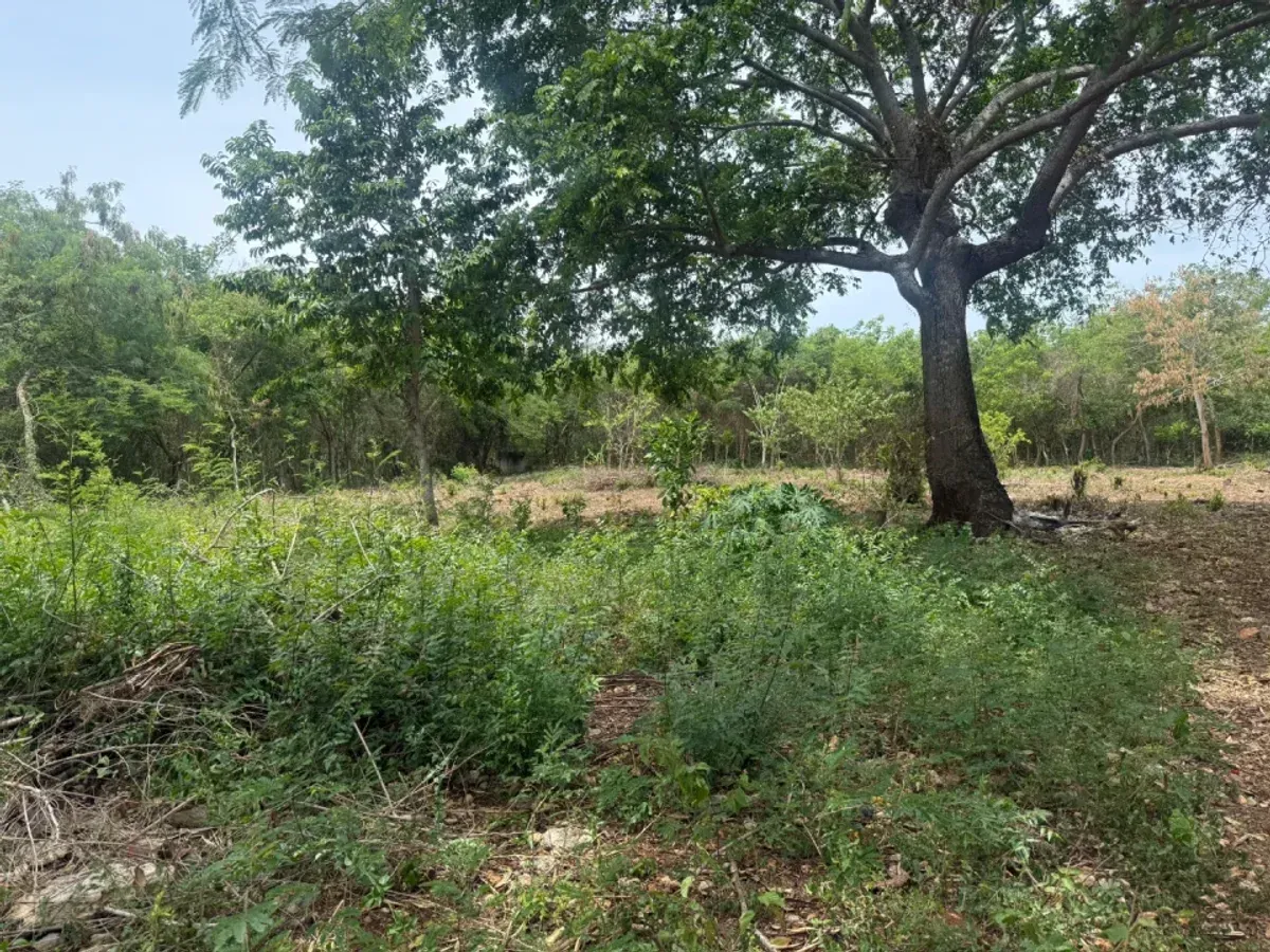 Terreno amplio en venta en Juan Dolio, foto 2
