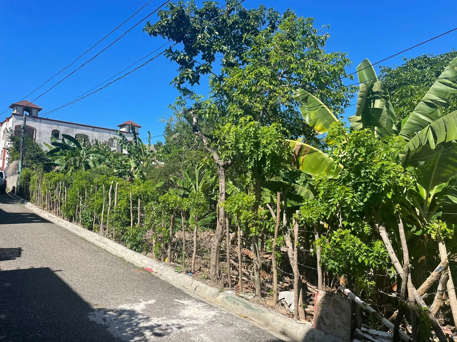 Grundstück in Puerto Plata, Hauptfoto