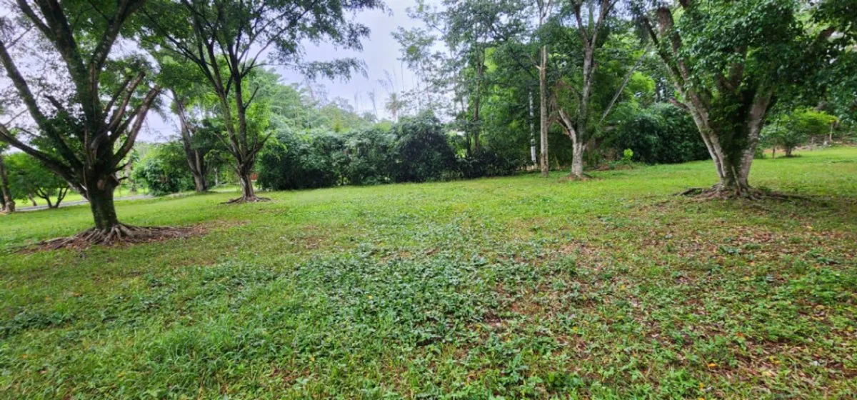 Land in Jarabacoa, Buena Vista, 562 m², photo 2