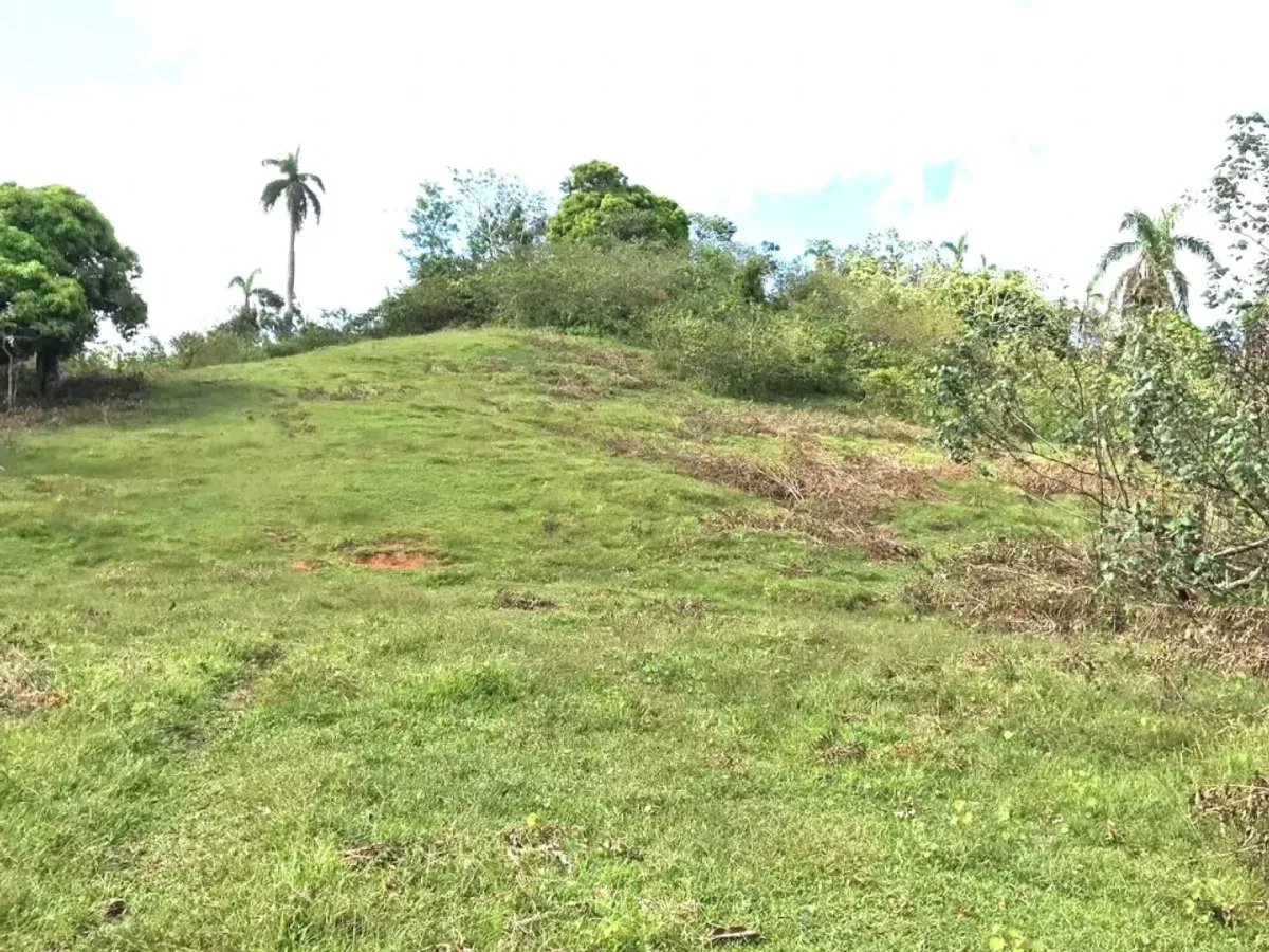 Terrain à Samaná Las Terrenas, Los Puentes, photo 11