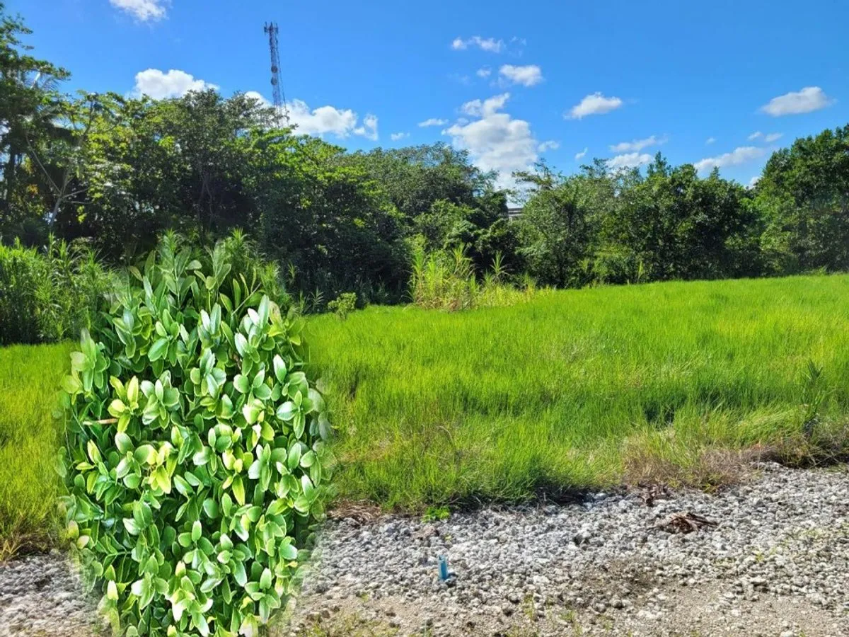 Land in Nagua, Proyecto Nueva Nagua, photo 5