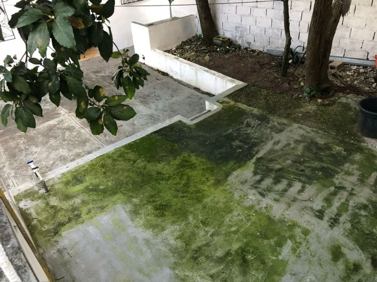 Local comercial en venta en Higüey, Centro del Pueblo, foto 7