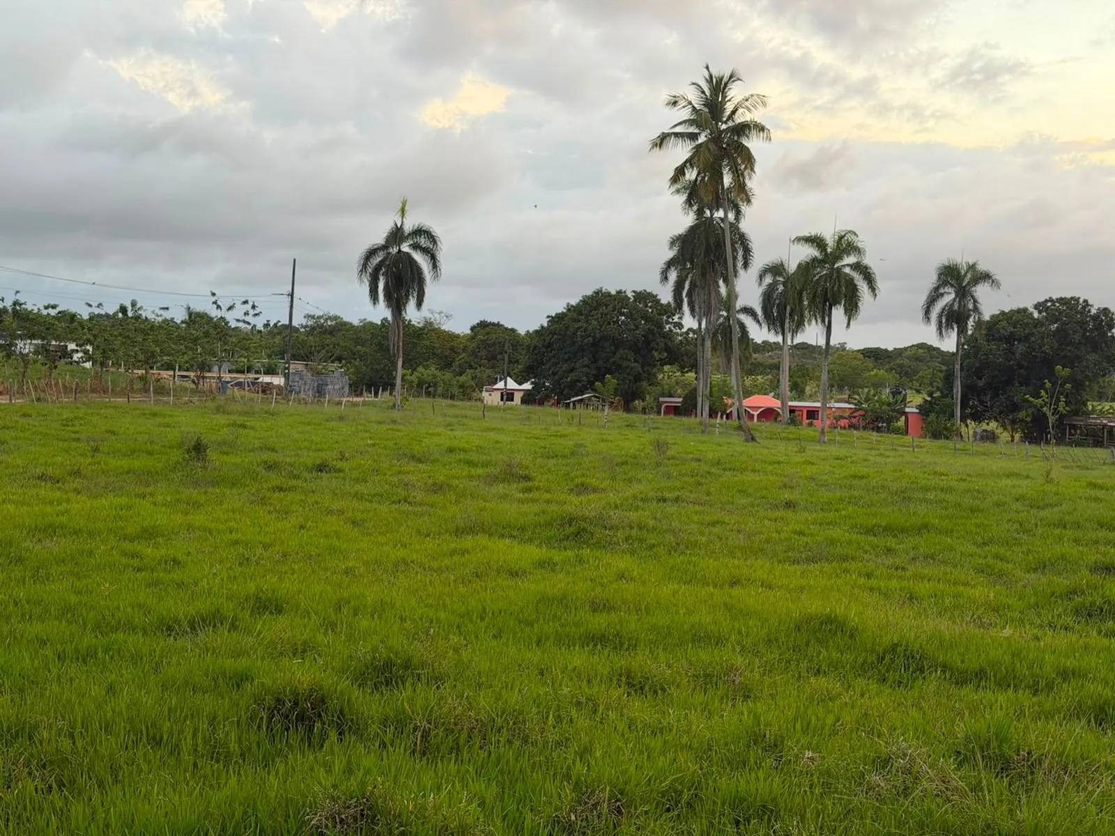 GRUNDSTÜCK ZUM VERKAUF IN SAMANA-PALMARITO, Hauptfoto